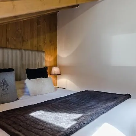 6 Pers 3 Etoiles Centre Proximite Remontees Mecanique Le Praz - Robles Courchevel